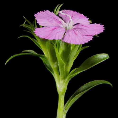  این که زندگی جنگه و بگیر به چنگ اگه جایی رو می خوای